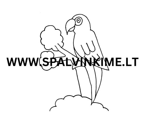 Paukštis spalvinimui