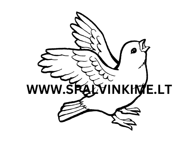 Paukštis spalvinimui