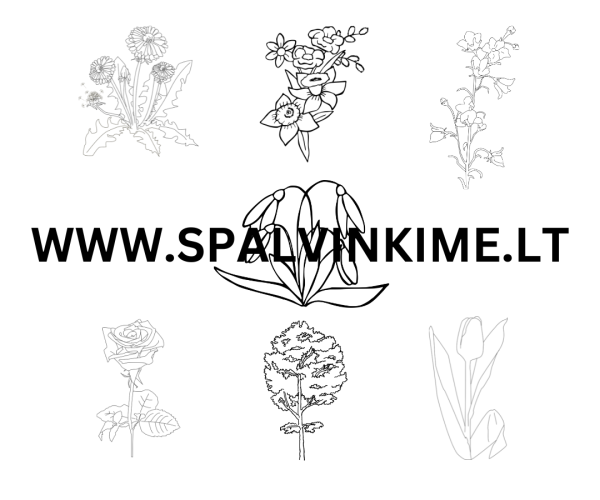 Augalų rinkinys spalvinimui