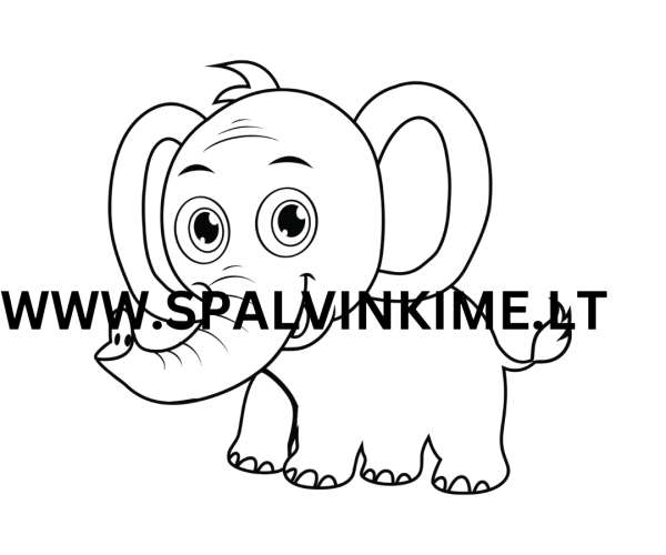 Gyvūnas spalvinimui