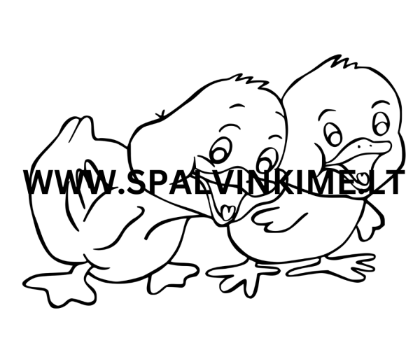 Paukščiai spalvinimui