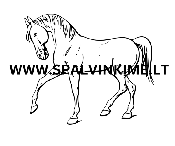 Gyvūnas spalvinimui