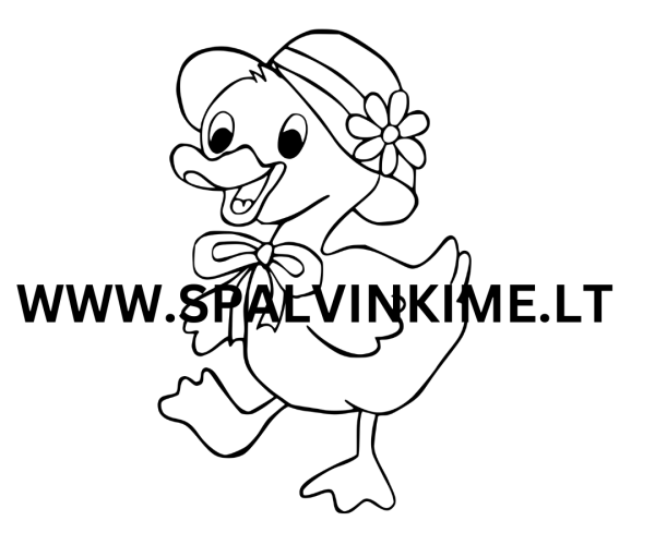 Paukštis spalvinimui