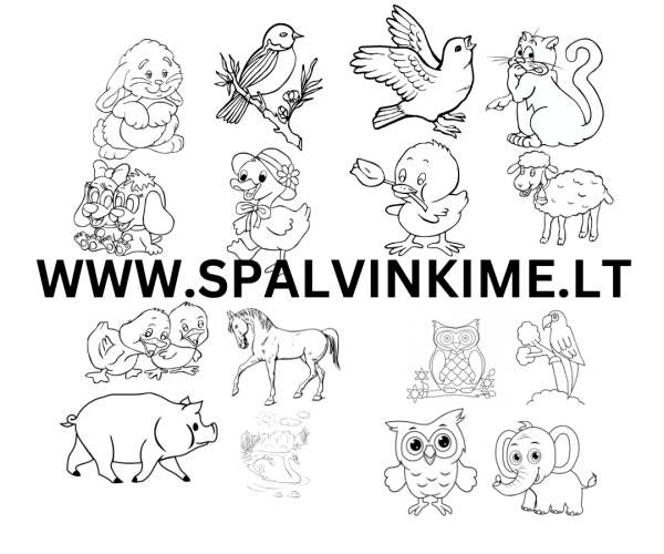 Gyvūnai ir paukščiai spalvinimu