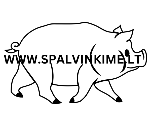 Gyvūnas spalvinimui