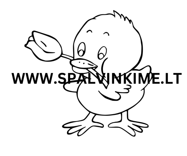 Paukštis spalvinimui